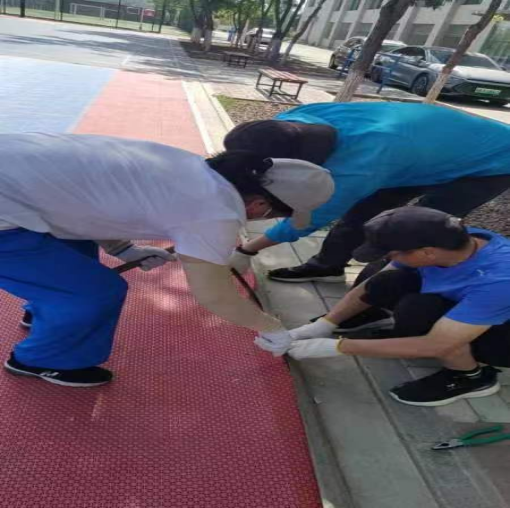 壹号体育客户端图片