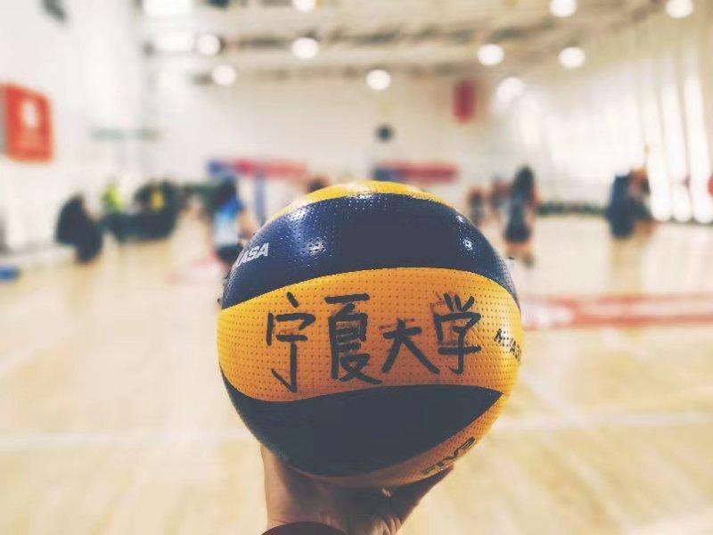 壹号体育指定入口