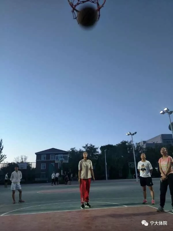 壹号体育加速节点