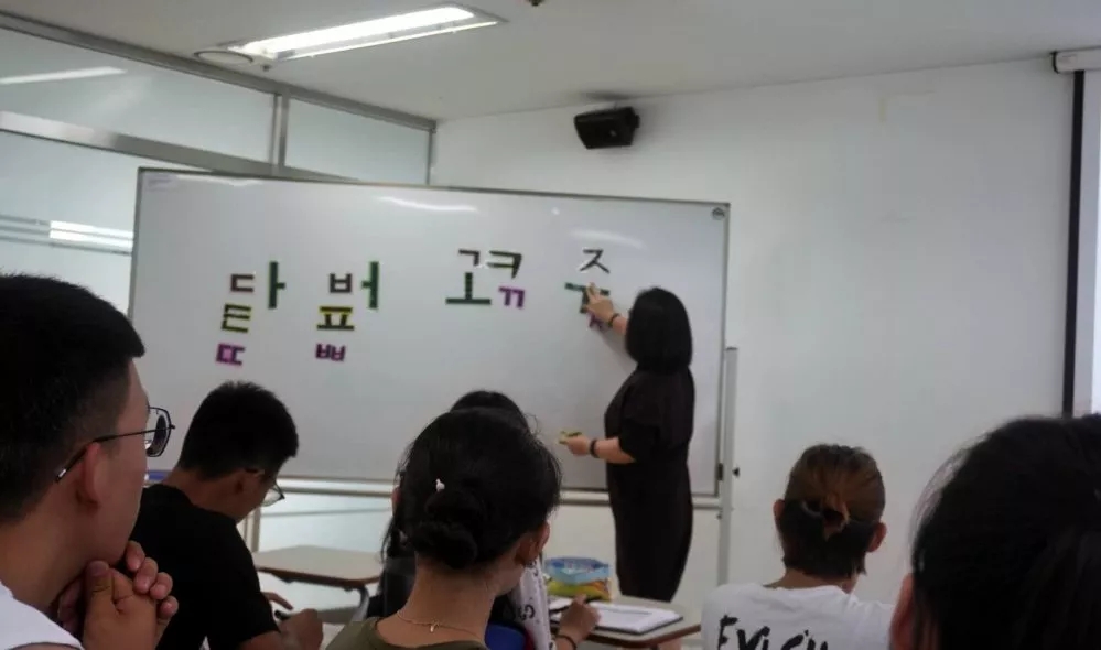 壹号体育欧洲杯