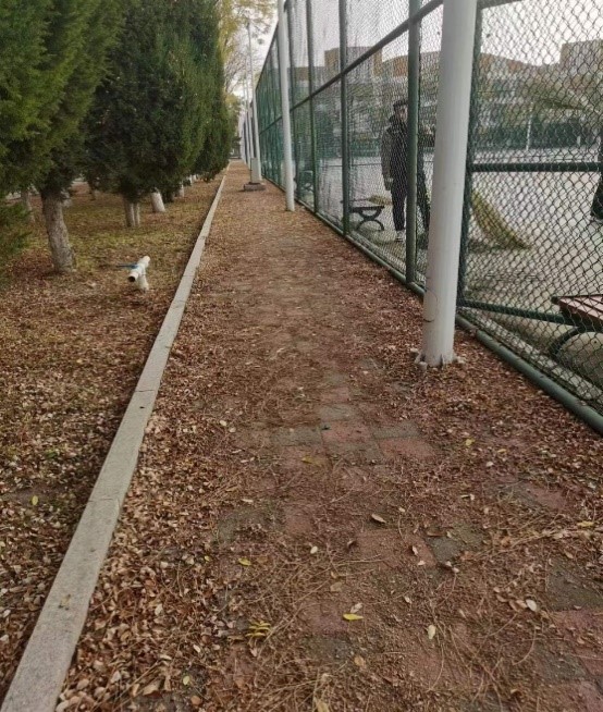 壹号体育核心通道
